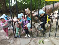 VÝLET DINOPARK VYŠKOV - KOŤÁTKA