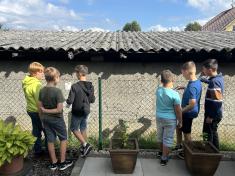 Hodina přírodovědy