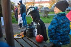 AKCE BÍLÁ PANÍ 5. 11. 2025